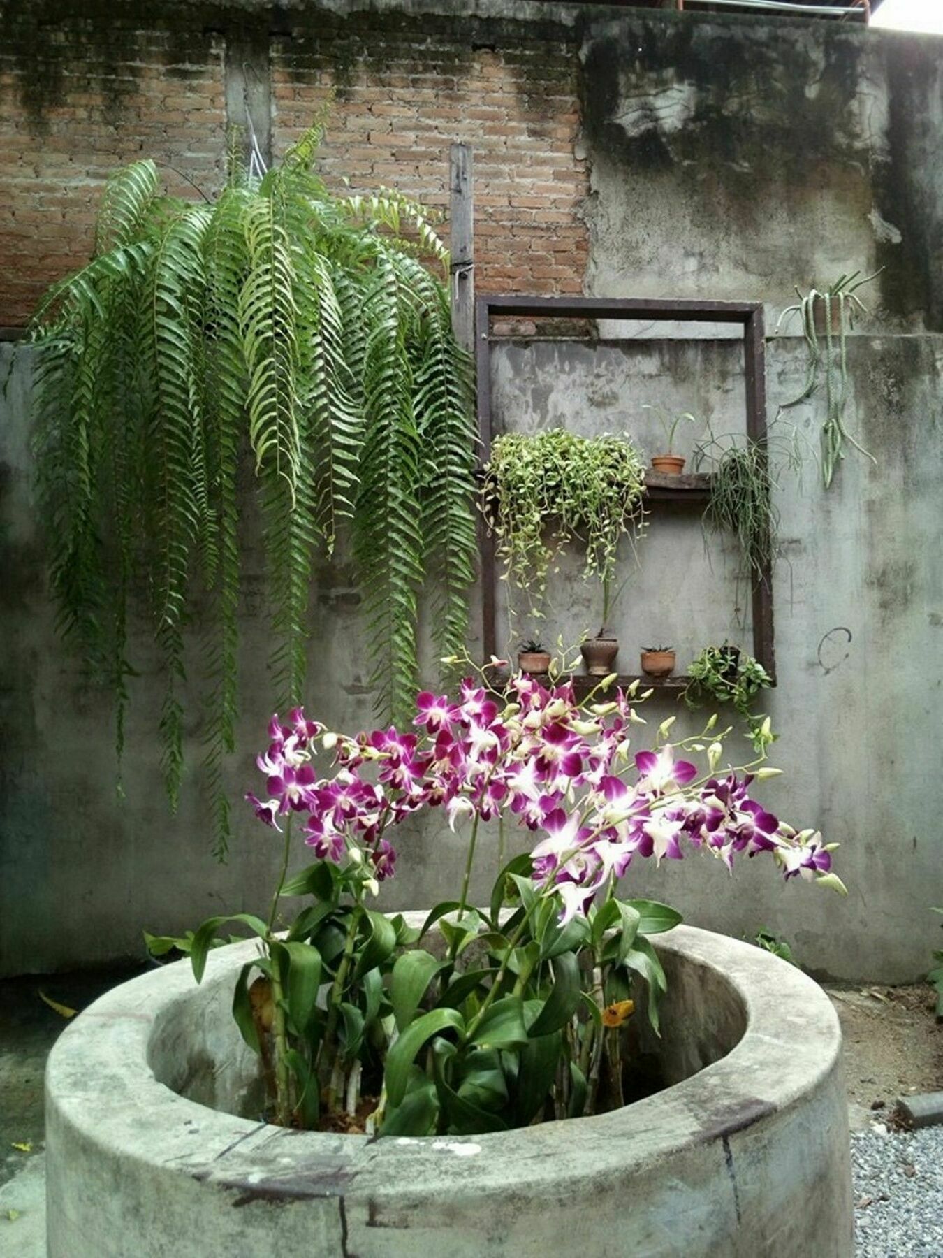 Albergue Twin House @ Tapae Chiang Mai Exterior foto
